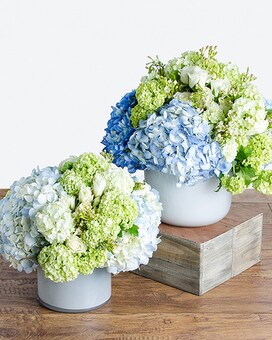 Standard size, 11 inches height and 9 inches wide.