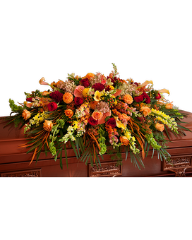 Standard size, 42 inches height and 22 inches wide.