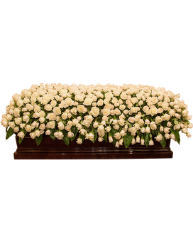 Fully Closed (Red) size, 80 inches height and 28 inches wide.