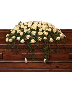 Premium size, 50 inches height and 26 inches wide.