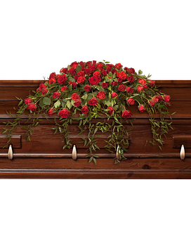 Standard size, 42 inches height and 22 inches wide.