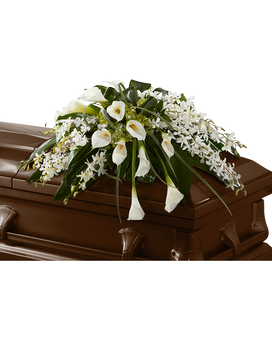 Closed Casket size, 80 inches height and 28 inches wide.
