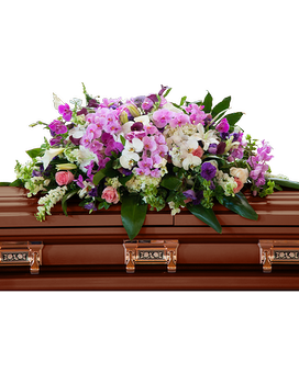 Premium size, 50 inches height and 26 inches wide.