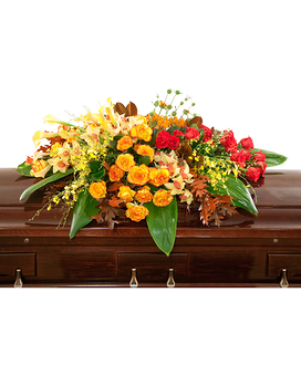Deluxe size, 46 inches height and 24 inches wide.