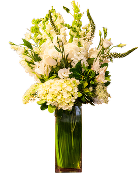 Deluxe size, inches height and inches wide.