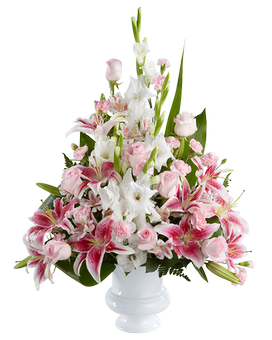 Premium size, inches height and inches wide.