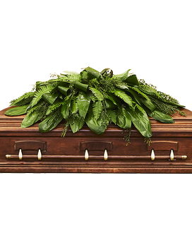 Premium size, 50 inches height and 26 inches wide.