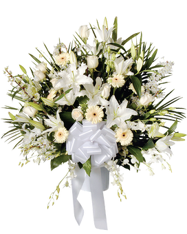 Standard size, 26 inches height and 26 inches wide.