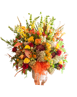 Standard size, 26 inches height and 26 inches wide.