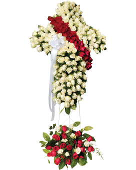 Standard (Shown) size, 36 inches height and 24 inches wide.