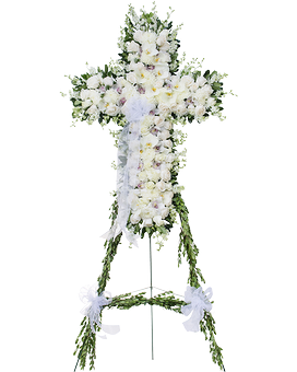 Standard (Shown) size, 42 inches height and 29 inches wide.