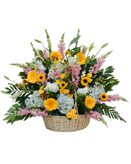 Deluxe size, 30 inches height and 30 inches wide.