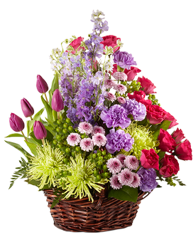Deluxe size, 30 inches height and 30 inches wide.