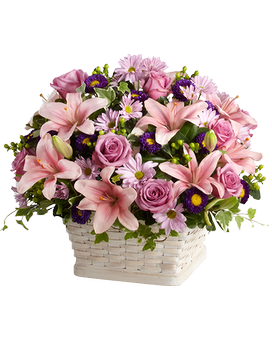 Standard size, 26 inches height and 26 inches wide.