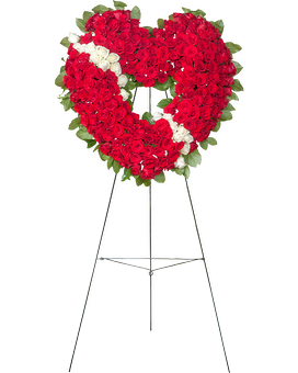 Deluxe (Shown) size, 36 inches height and 36 inches wide.