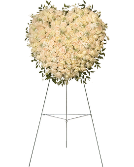Deluxe (Shown) size, 37 inches height and 37 inches wide.