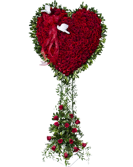 Standard (Shown) size, 30 inches height and 30 inches wide.