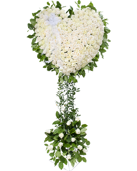 Standard size, 30 inches height and 30 inches wide.