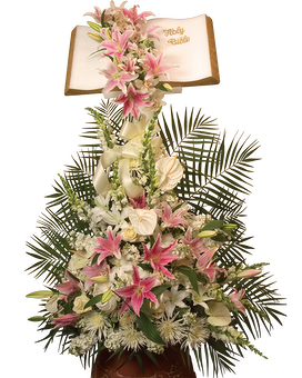 Deluxe (Shown) size, 4 inches height and 24 inches wide.