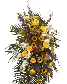 Standard size, 84 inches height and 26 inches wide.