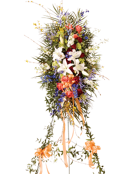 Premium size, 84 inches height and 34 inches wide.