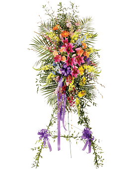 Deluxe (Shown) size, 84 inches height and 30 inches wide.