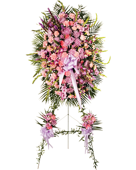 Standard size, 84 inches height and 26 inches wide.