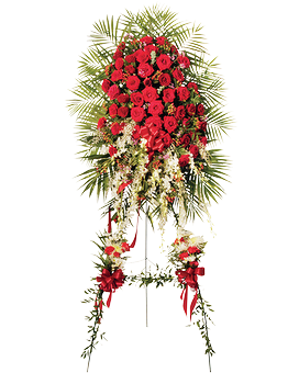 Standard size, 84 inches height and 26 inches wide.