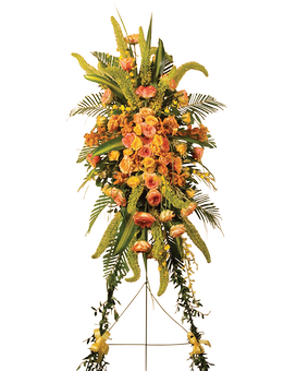 Deluxe (Shown) size, 84 inches height and 30 inches wide.