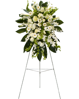 Deluxe (Shown) size, 84 inches height and 30 inches wide.