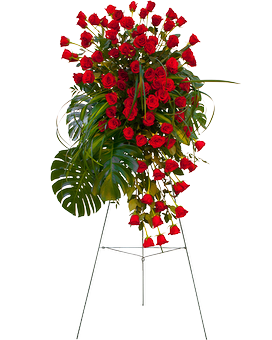 Standard size, 84 inches height and 26 inches wide.