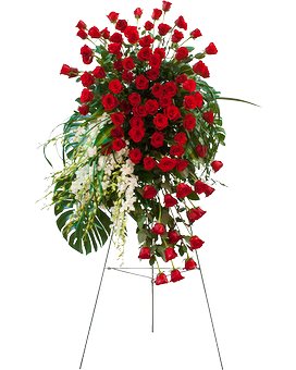 Standard size, 84 inches height and 26 inches wide.