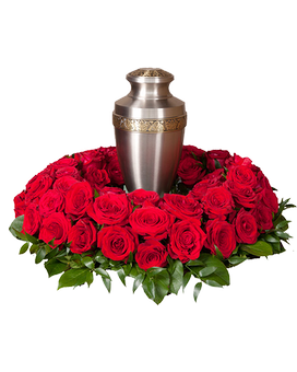 Deluxe (Red) (Shown) size, inches height and inches wide.