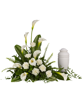 Deluxe (Shown) size, inches height and inches wide.