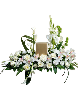 Premium size, 20 inches height and 18 inches wide.