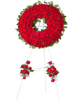 Deluxe (Red) (Shown) size, inches height and inches wide.