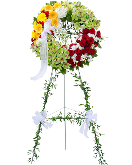 Deluxe (Shown) size, inches height and inches wide.