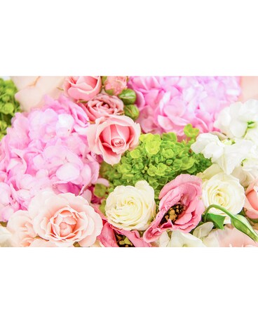 Large- Feminine size, 42 inches height and 42 inches wide.