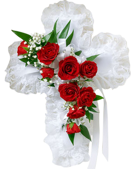 Standard One-Size (White) size, inches height and inches wide.