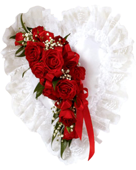 Standard One-Size (White) size, inches height and inches wide.