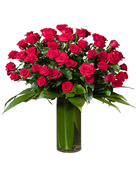 50 Red Roses (Bedside Table/Desk) size, inches height and inches wide.