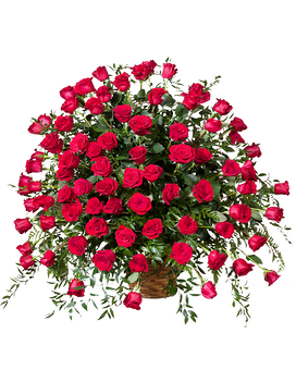 50 Yellow Roses (26