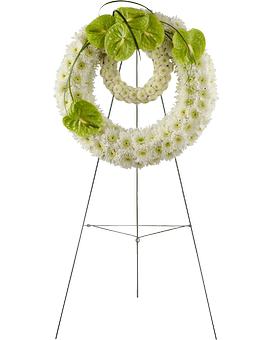Deluxe (Shown) (36" in Diameter) size, inches height and inches wide.