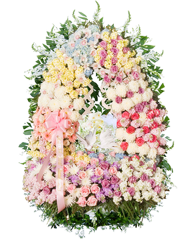 Deluxe (54" x 90") size, inches height and inches wide.