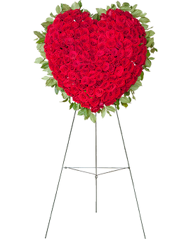 Red Deluxe (Shown) (37