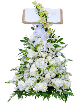 Deluxe (Shown) size, inches height and inches wide.
