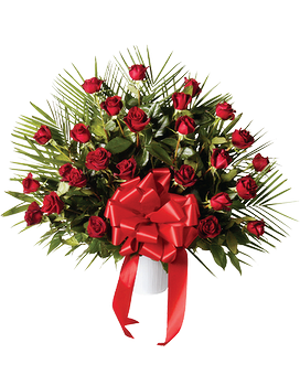 48 Red Roses (34