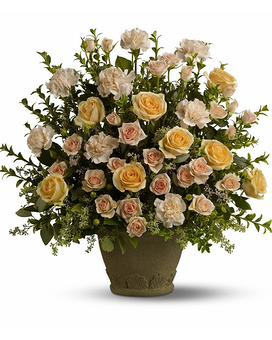 Deluxe size, inches height and inches wide.