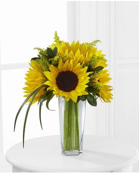 Deluxe size, inches height and inches wide.
