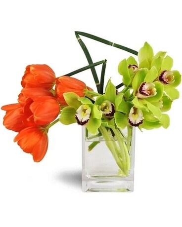 Premium size, 12 inches height and 12 inches wide.